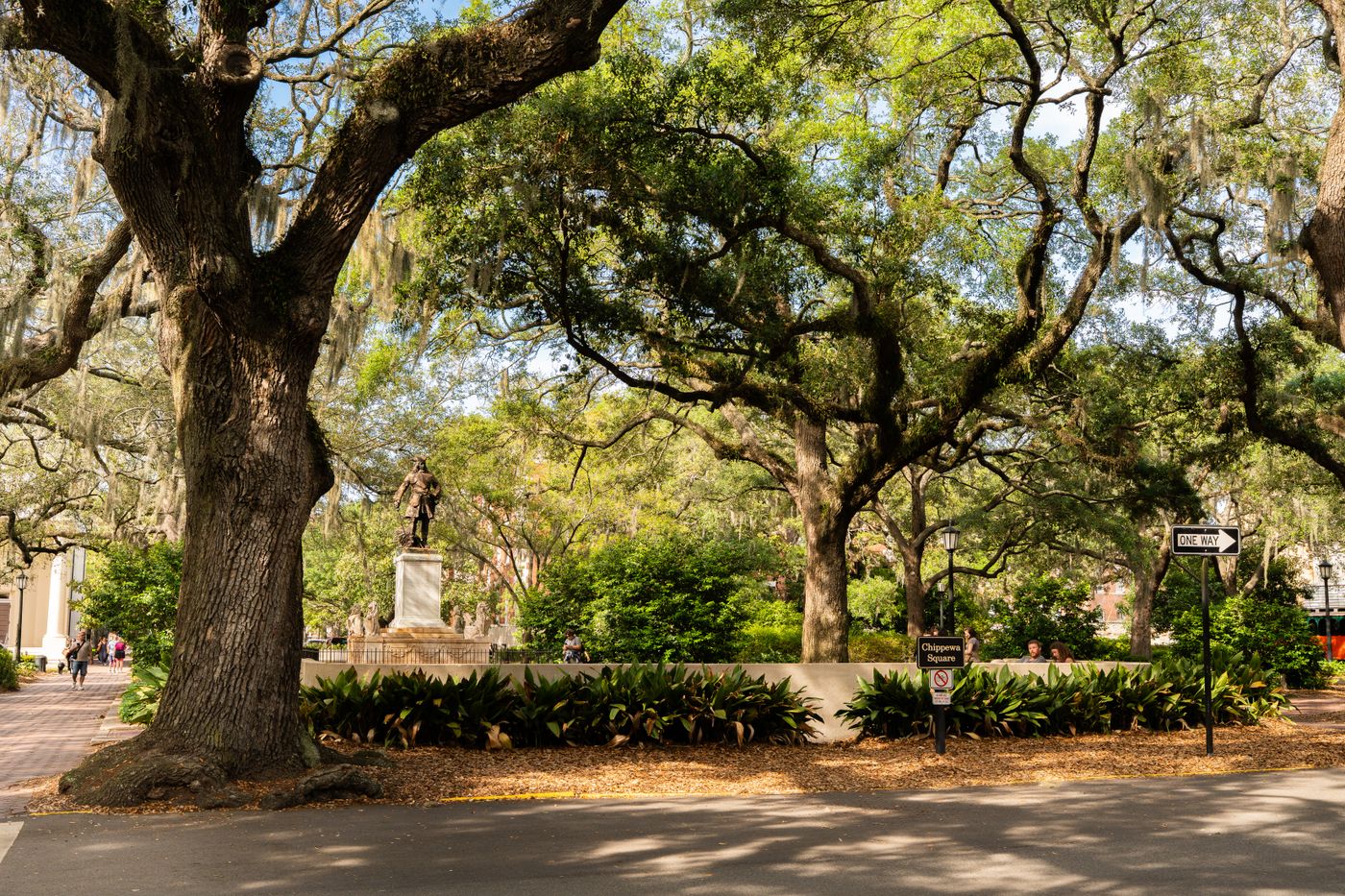 A Savannah square shaded by live oaks with Spanish moss, with a path through the trees